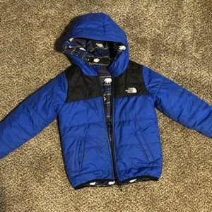 Northface Moondoggy Coat